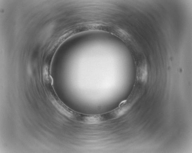 X0000055980238200508191241