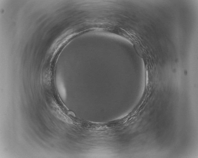 X0000055980243200508191240