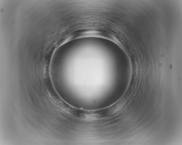 X0000055980268200508191240