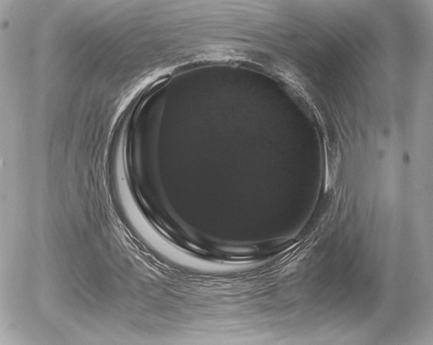 X0000055980387200508191238