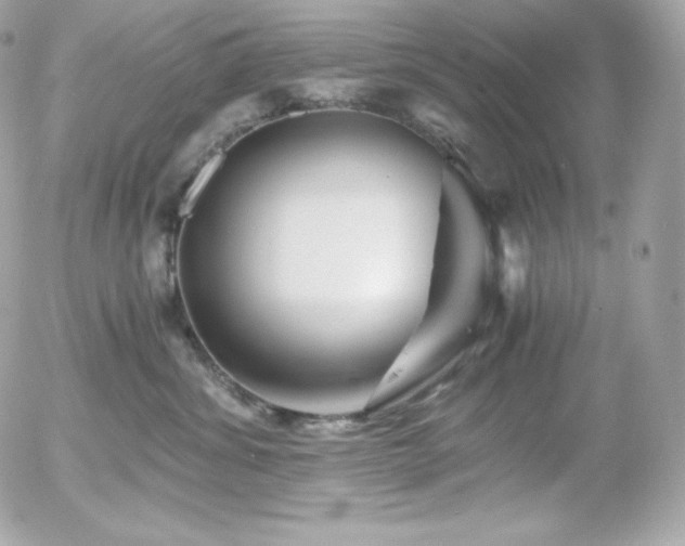 X0000055980428200508191237