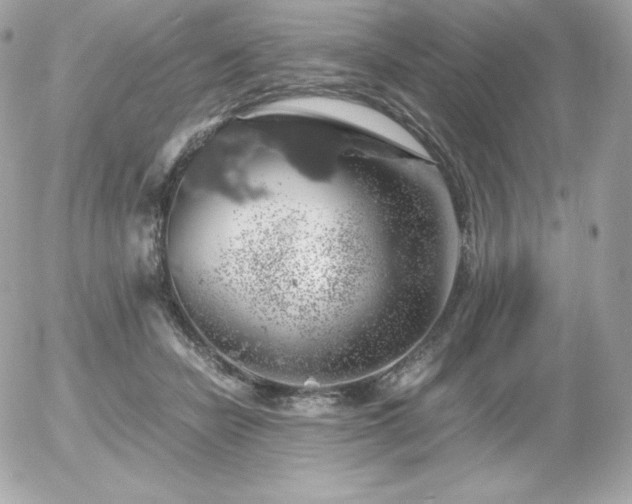 X0000055980462200508191237