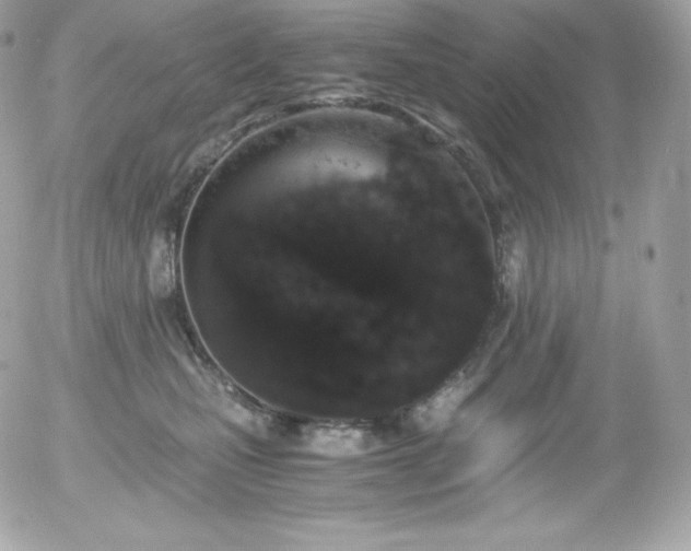 X0000055980471200508191237