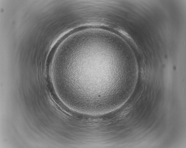 X0000055980484200508191236