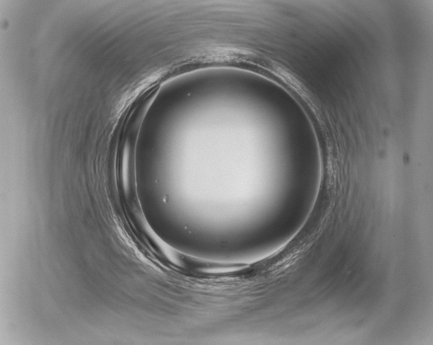 X0000055980485200508191236