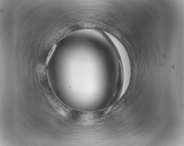X0000055980521200508191236