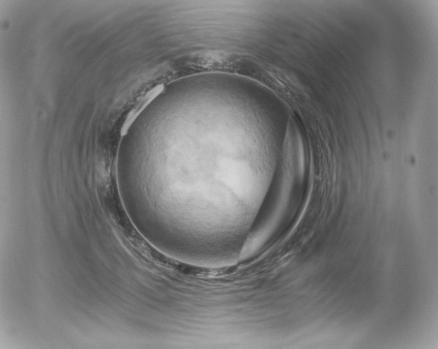 X0000055980607200508191234
