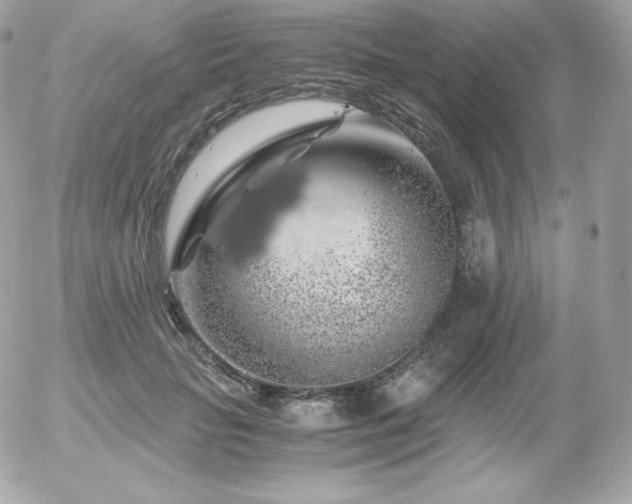 X0000055980653200508191234
