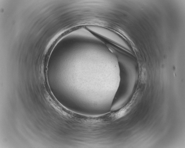 X0000055980788200508191231