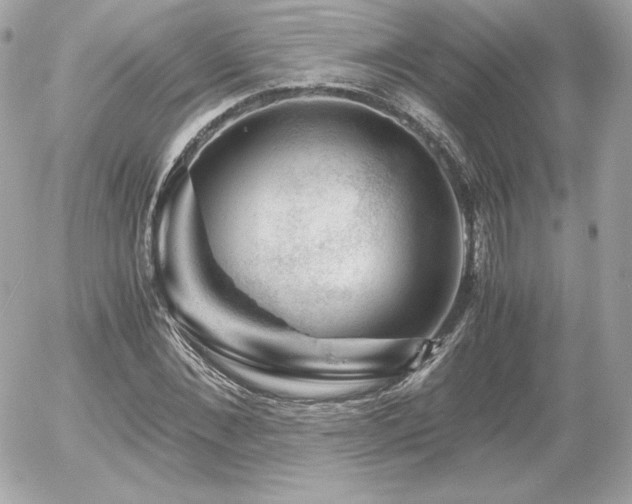 X0000055980876200508191230