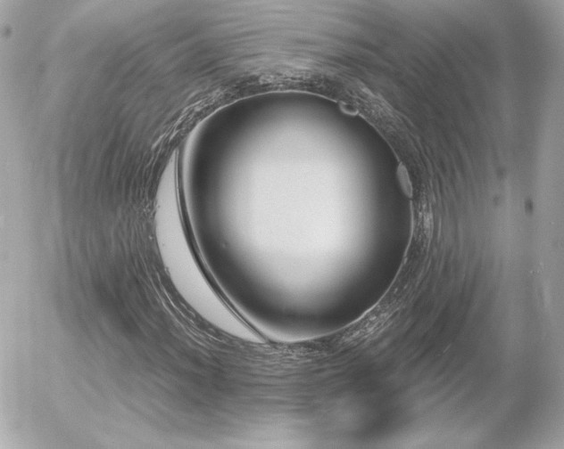 X0000055981012200508191227