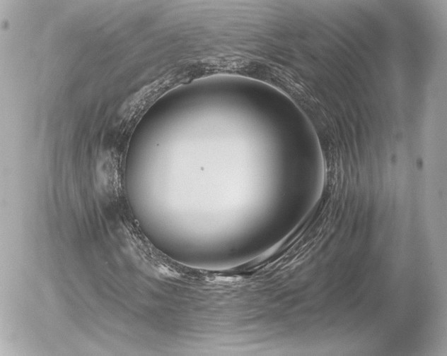 X0000055981058200508191227