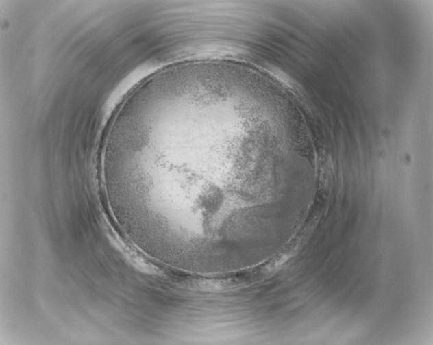 X0000055981086200508191226