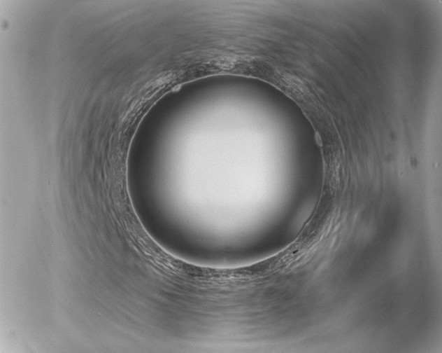 X0000055981105200508191225