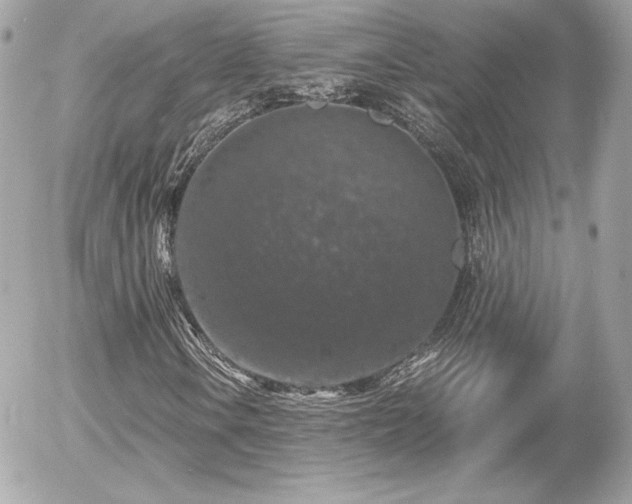 X0000055981106200508191225
