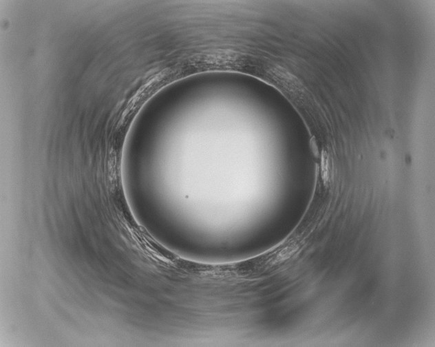 X0000055981107200508191225