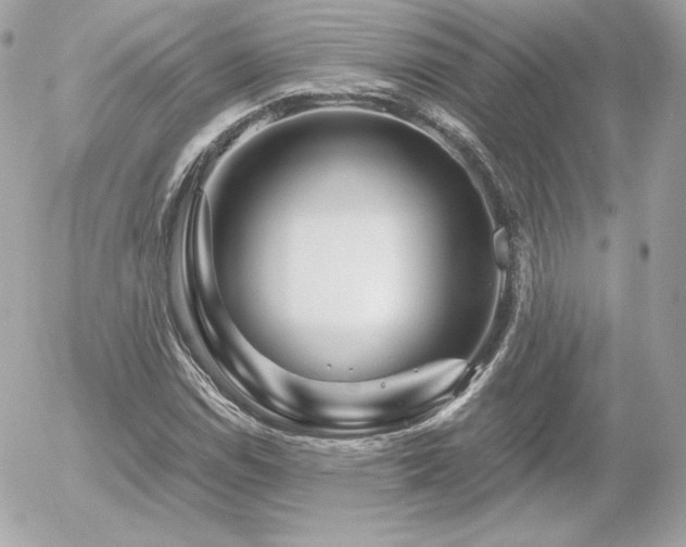 X0000055981114200508191226