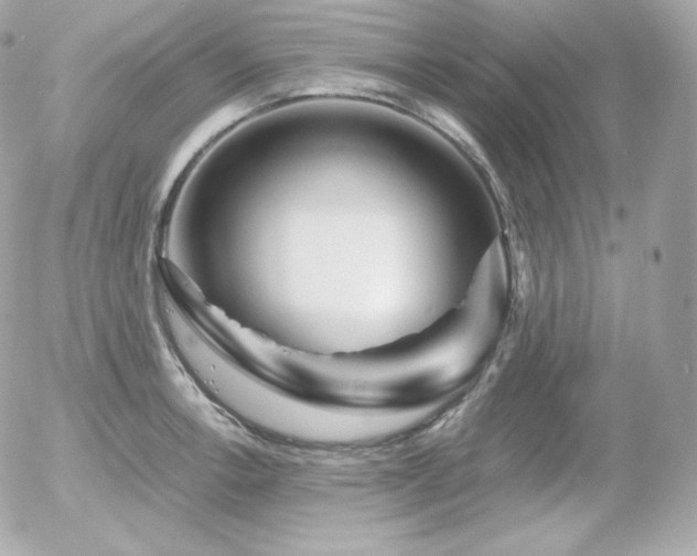 X0000055981138200508191226