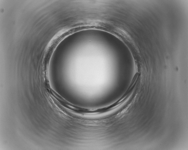 X0000055981172200508191225