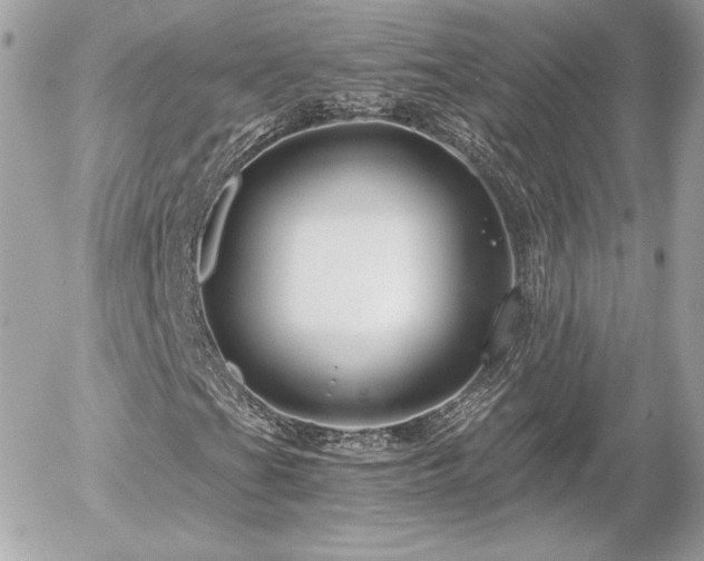 X0000055981201200508191224