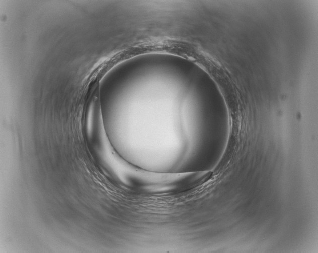 X0000055981206200508191224