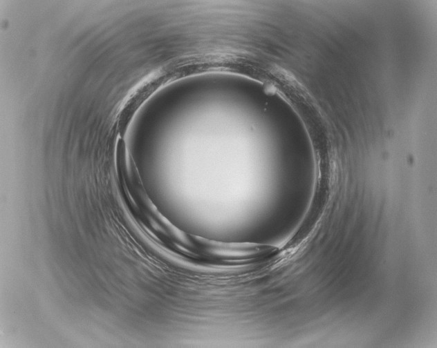 X0000055981210200508191224