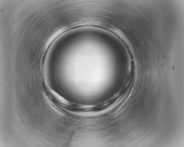 X0000055981242200508191224