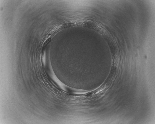X0000055981298200508191222