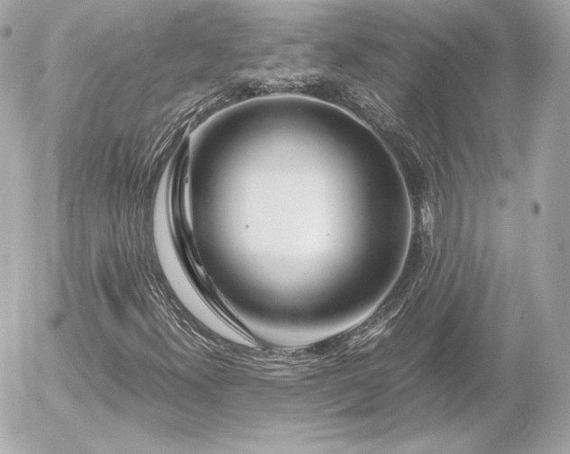 X0000055981300200508191222