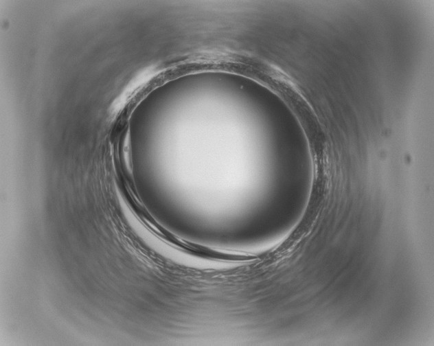 X0000055981304200508191222