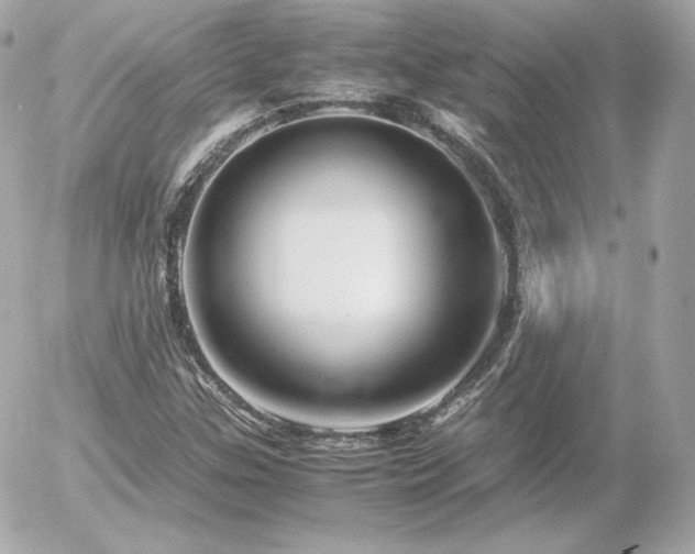X0000055981307200508191222