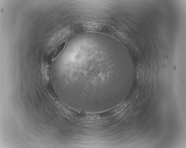X0000055981346200508191222