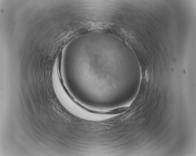 X0000055981348200508191222