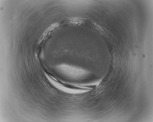 X0000055981394200508191221