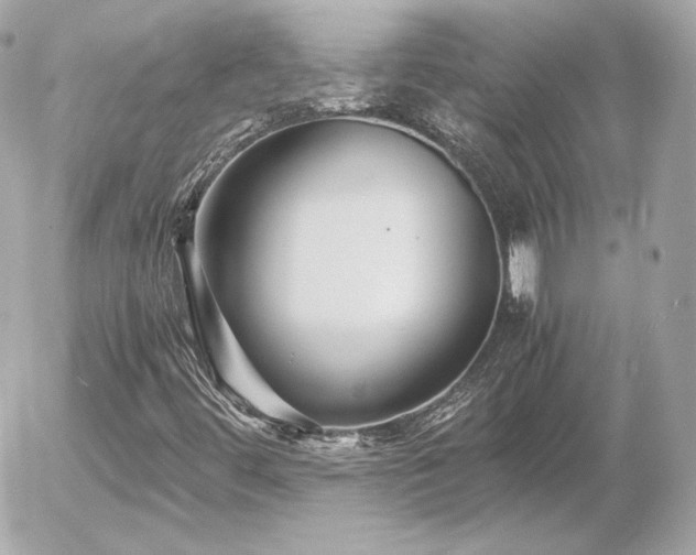 X0000055981444200508191221