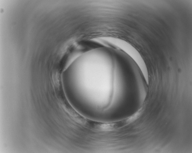 X0000055980184200508221211