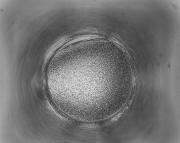 X0000055980245200508221209
