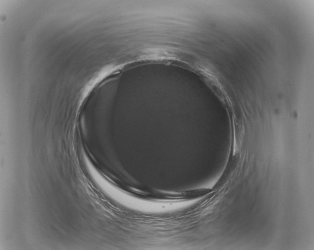 X0000055980387200508221207