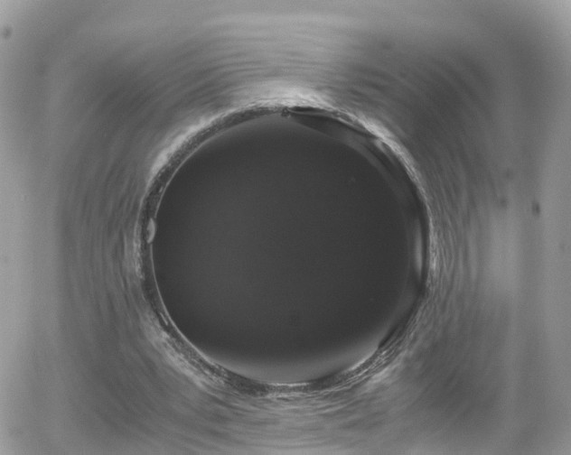 X0000055980391200508221207