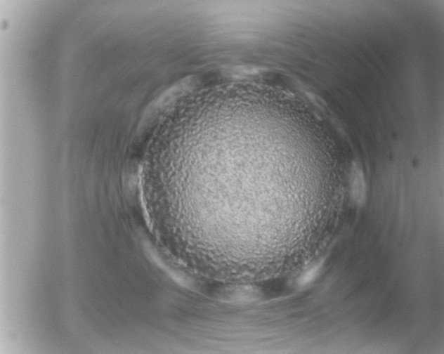 X0000055980427200508221206