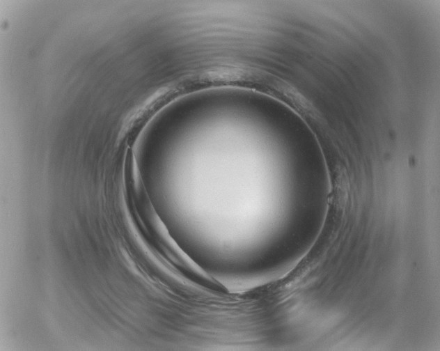 X0000055980446200508221205