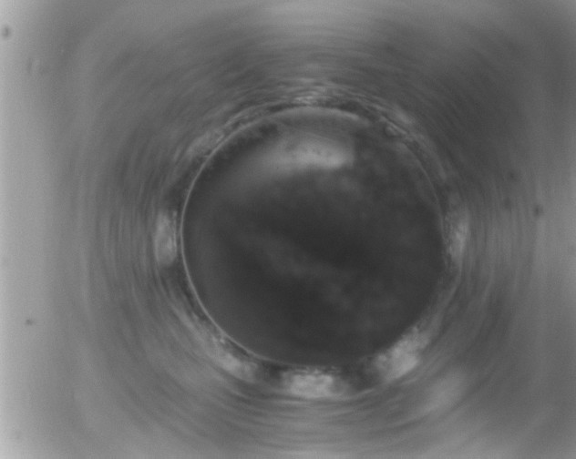 X0000055980471200508221206