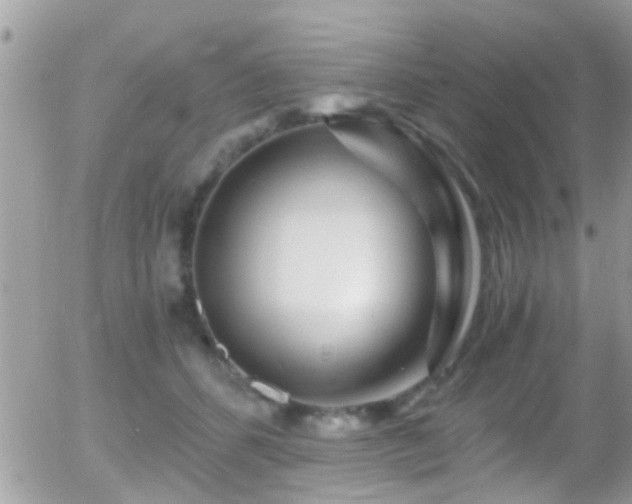 X0000055980512200508221205