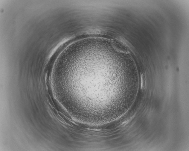 X0000055980723200508221200