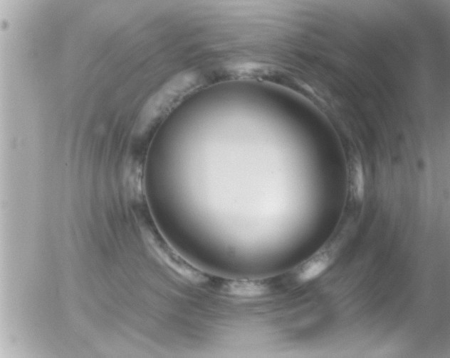 X0000055980766200508221201
