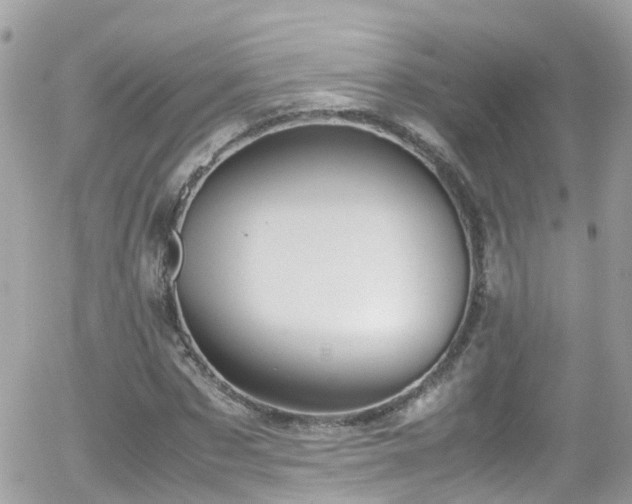 X0000055980873200508221158