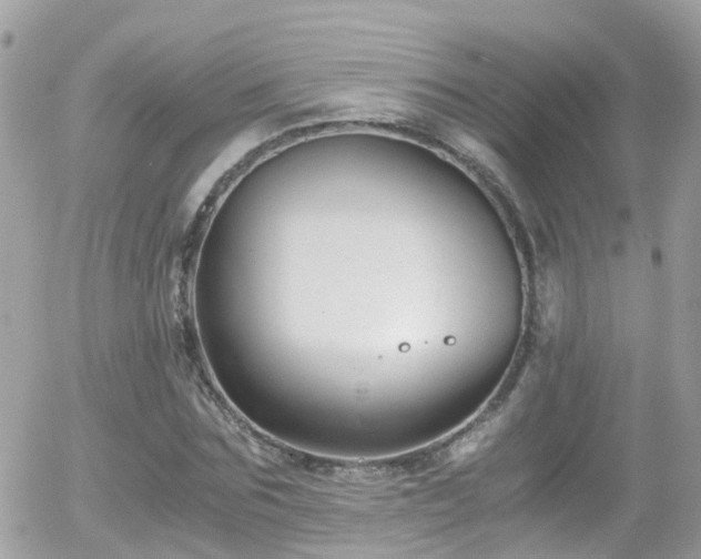 X0000055980875200508221158