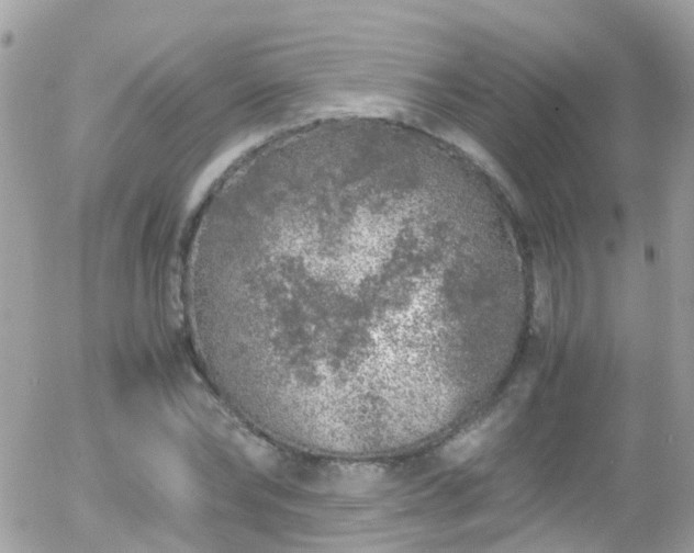 X0000055980878200508221158