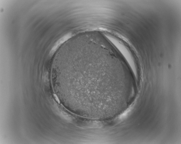 X0000055980881200508221158