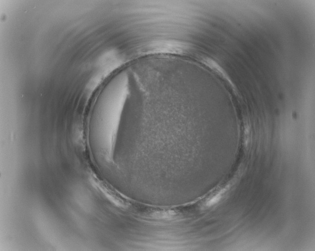 X0000055980882200508221158